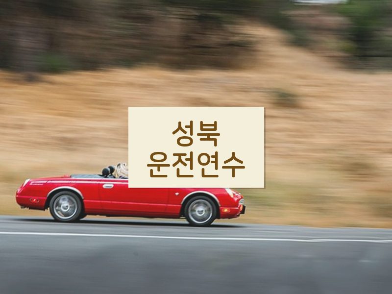 성북운전연수 후기