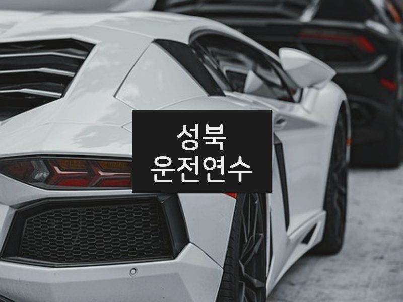 성북운전연수 후기