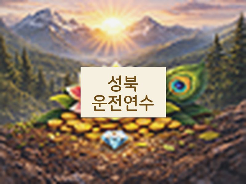 성북운전연수 후기