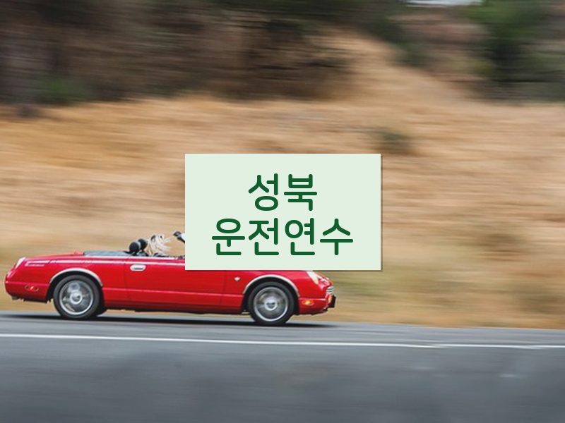 성북운전연수 후기