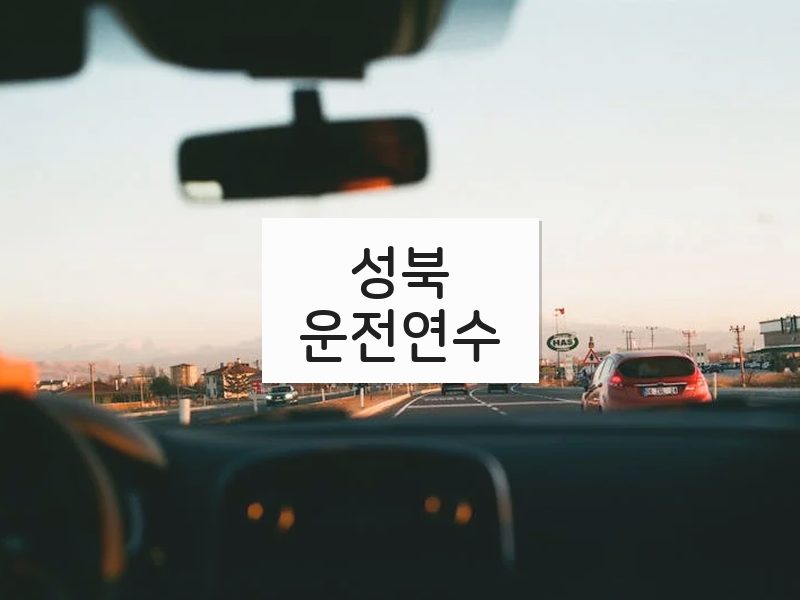 성북운전연수 후기