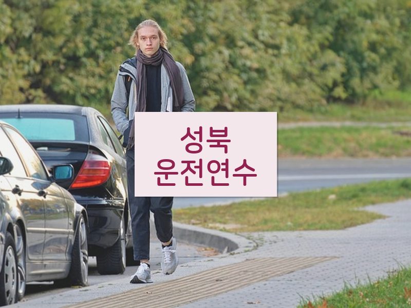 성북운전연수 후기
