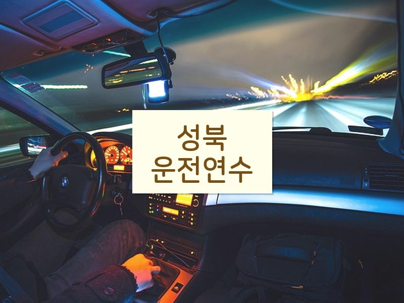 성북운전연수 후기