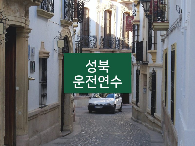 성북운전연수 후기