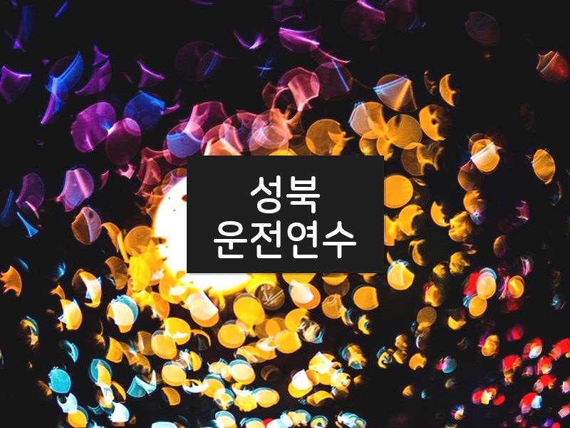 성북운전연수 후기