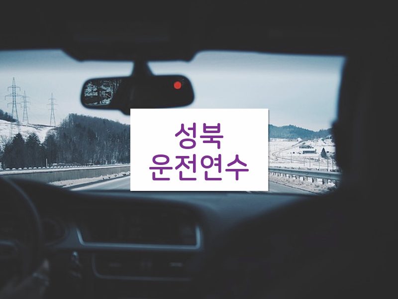 성북운전연수 후기