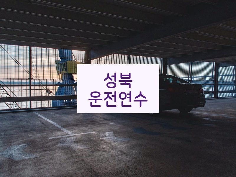 성북운전연수 후기