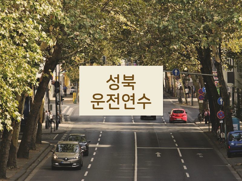 성북운전연수 후기