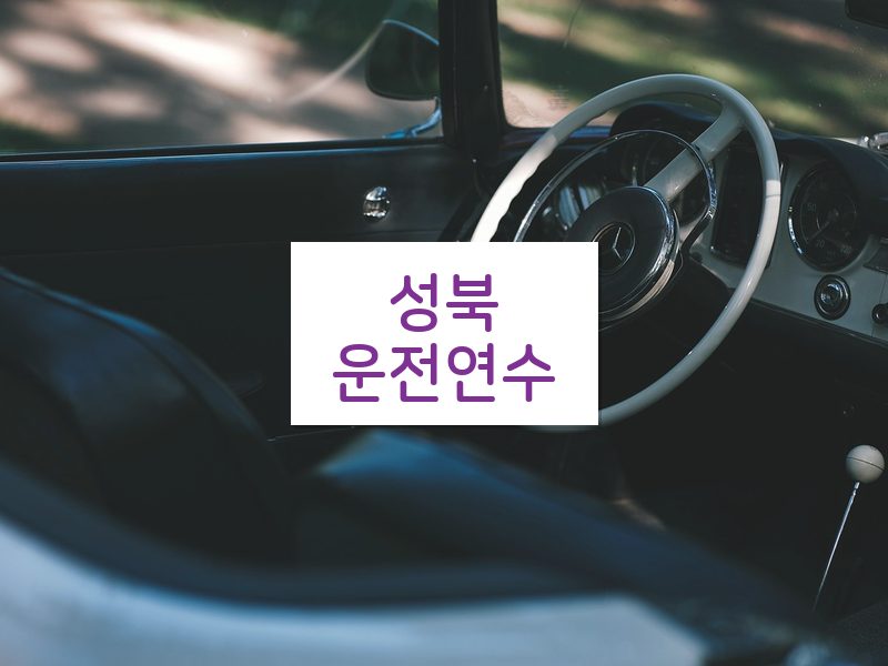 성북운전연수 후기