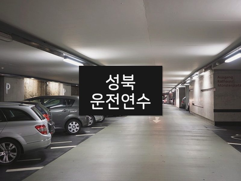 성북운전연수 후기