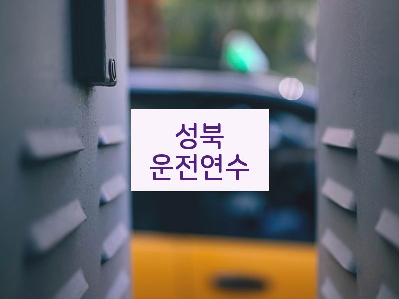 성북운전연수 후기