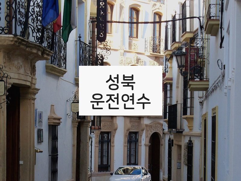 성북운전연수 후기