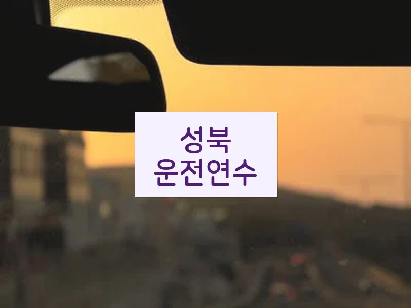 성북운전연수 후기