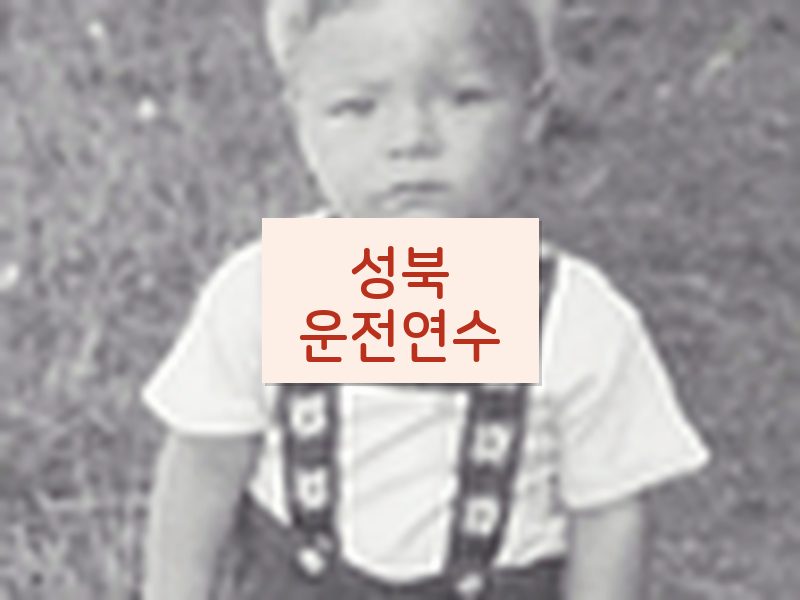 성북운전연수 후기
