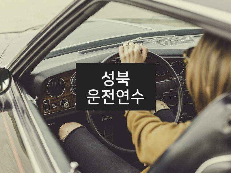 성북운전연수 후기