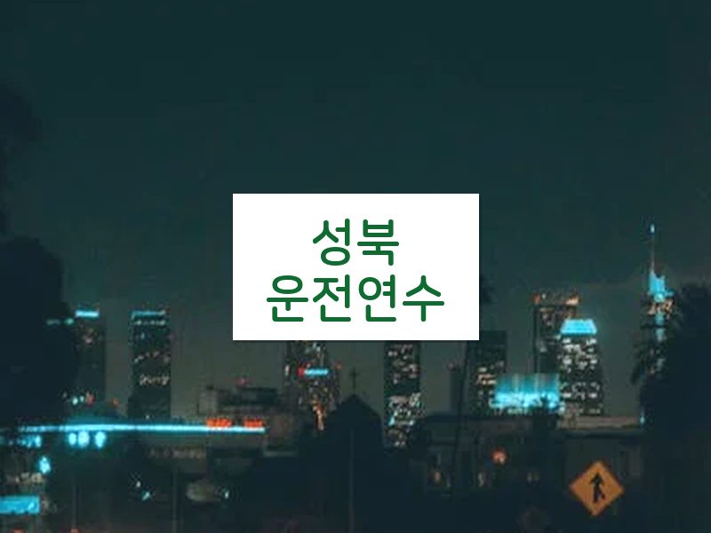 성북운전연수 후기