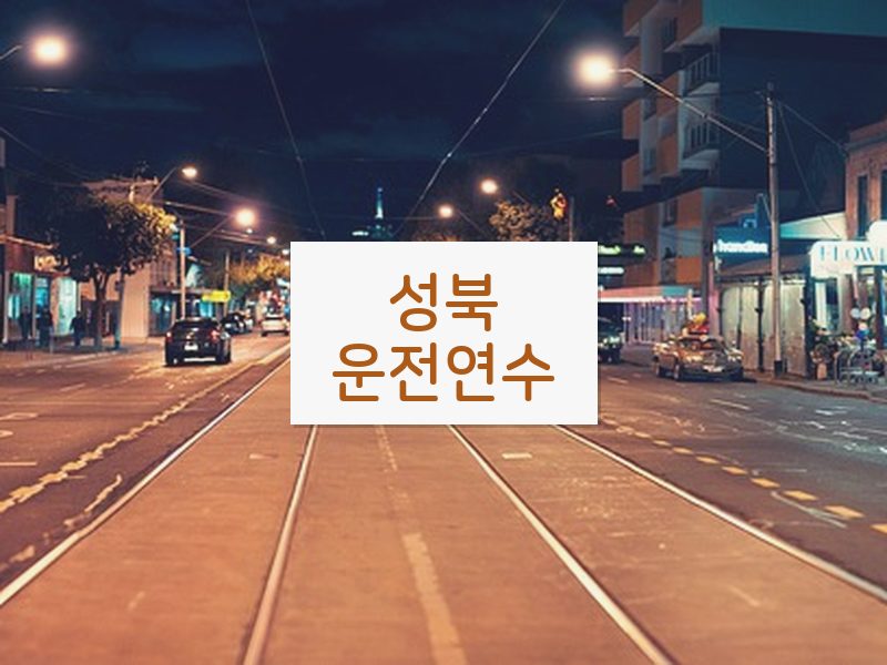 성북운전연수 후기