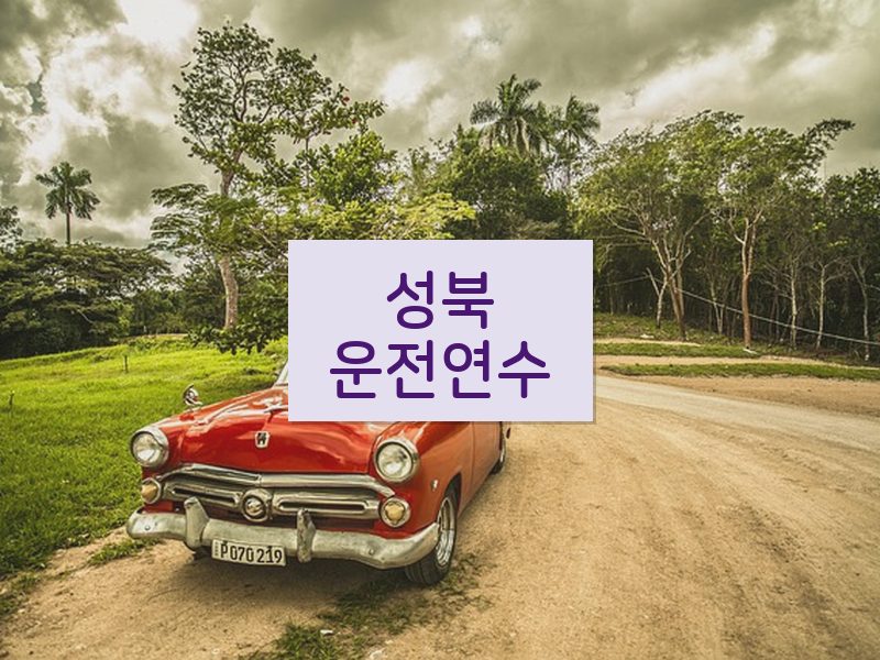 성북운전연수 후기
