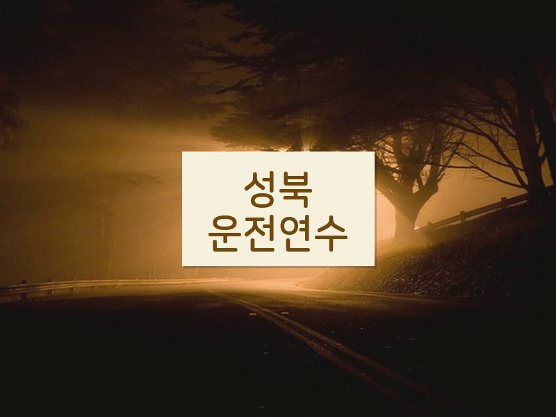 성북운전연수 후기