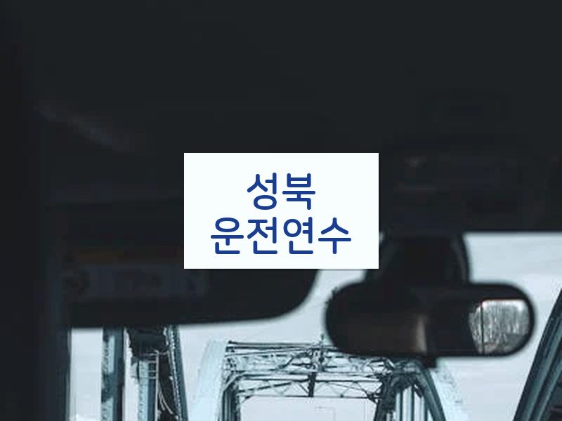 성북운전연수 후기