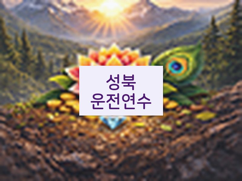 성북운전연수 후기
