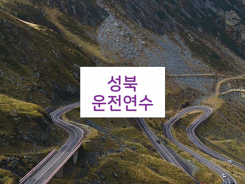 성북운전연수 후기