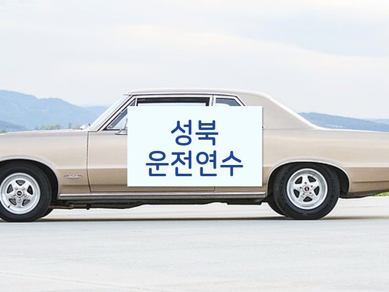 성북운전연수 후기