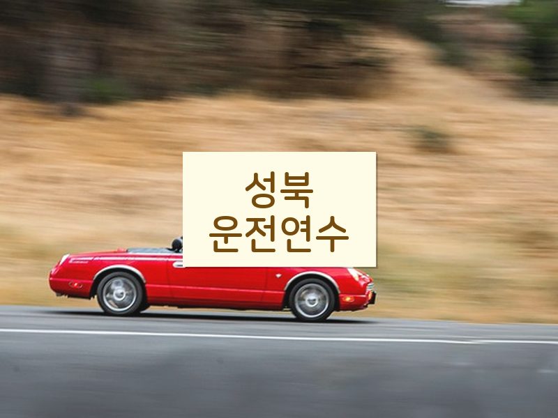 성북운전연수 후기