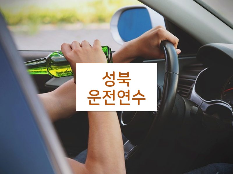 성북운전연수 후기