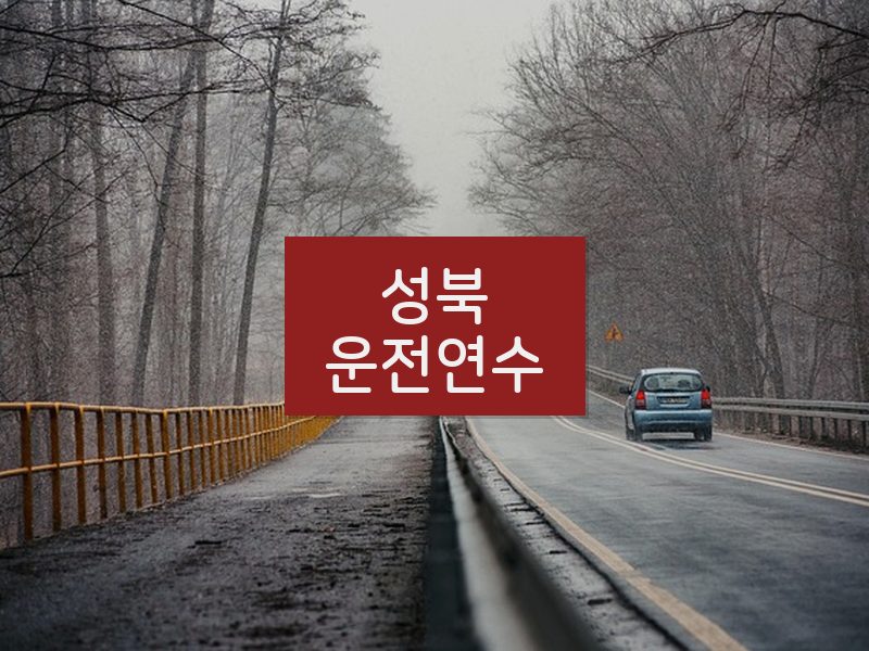 성북운전연수 후기