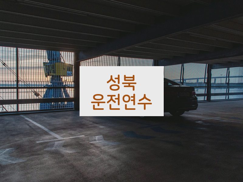 성북운전연수 후기