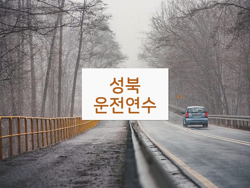 성북운전연수 후기
