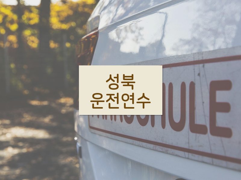 성북운전연수 후기
