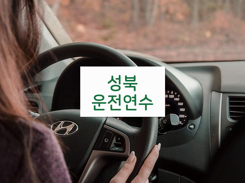 성북운전연수 후기