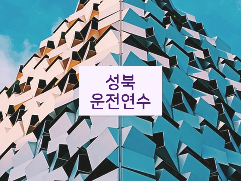 성북운전연수 후기