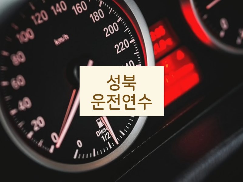 성북운전연수 후기