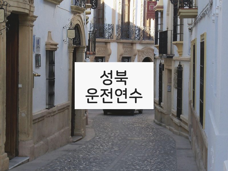 성북운전연수 후기