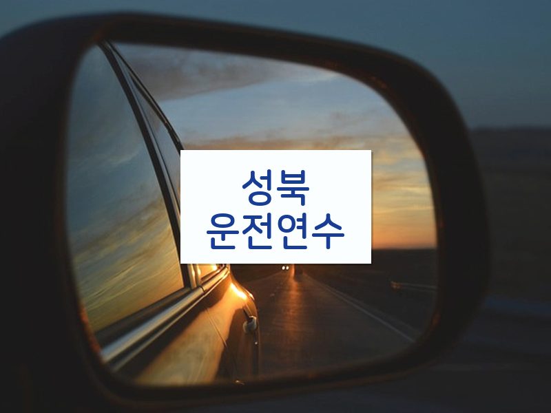성북운전연수 후기