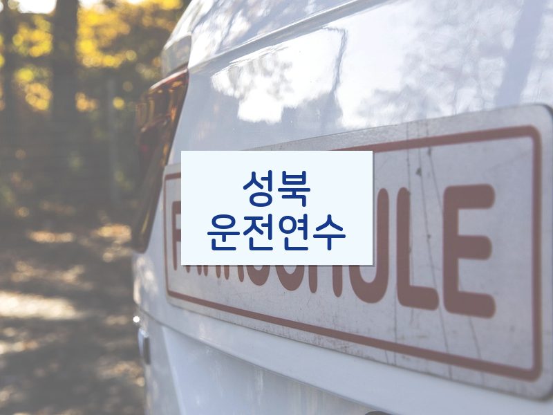 성북운전연수 후기