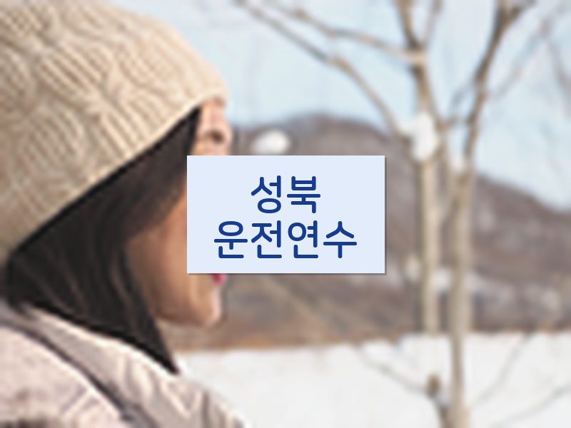성북운전연수 후기