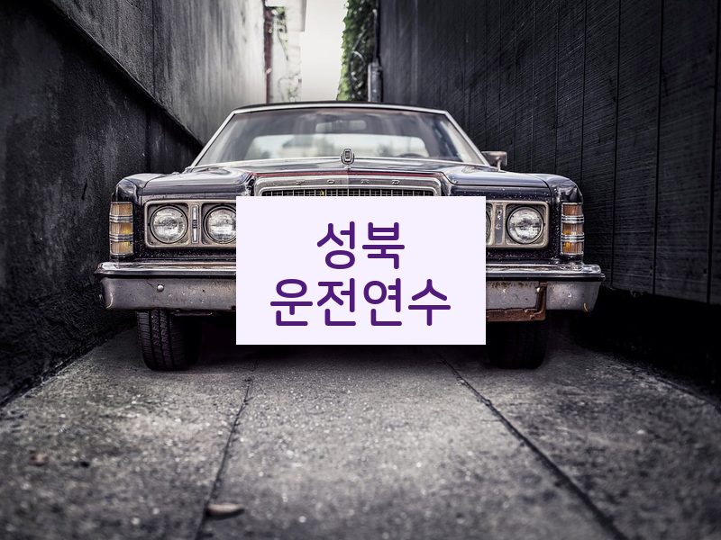성북운전연수 후기