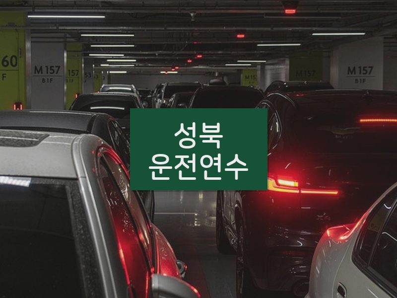 성북운전연수 후기