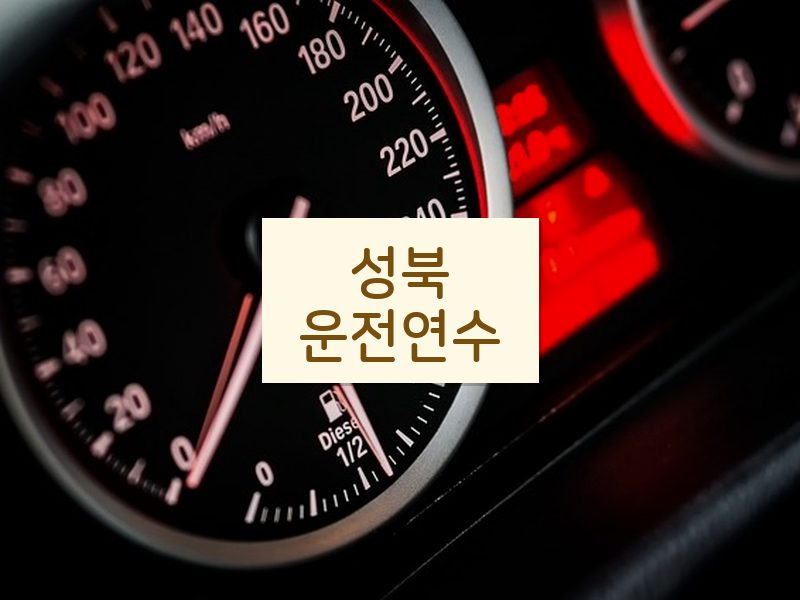 성북운전연수 후기