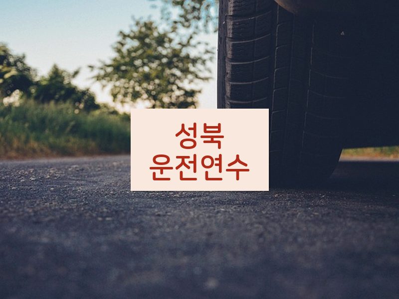 성북운전연수 후기