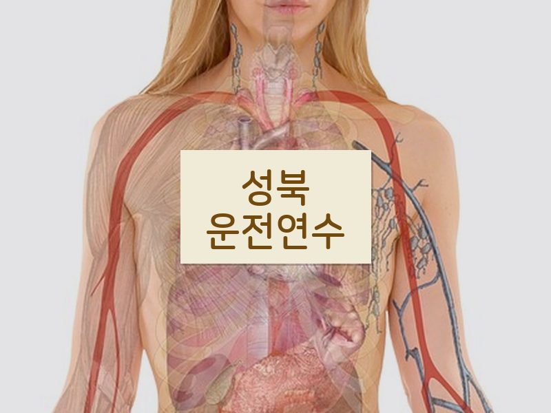 성북운전연수 후기