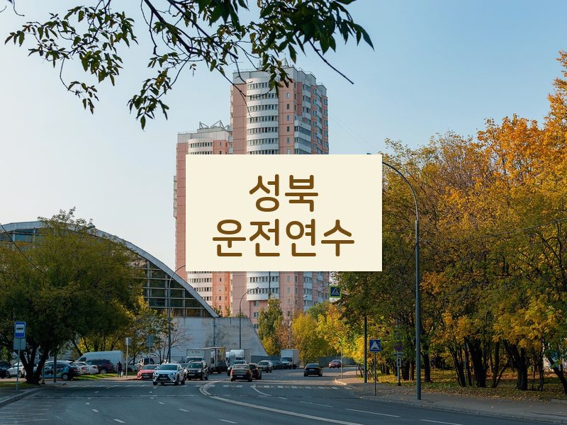 성북운전연수 후기