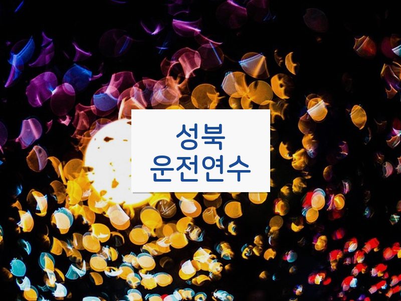 성북운전연수 후기