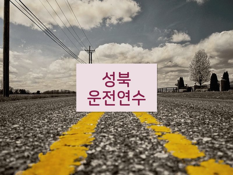 성북운전연수 후기