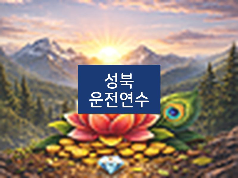 성북운전연수 후기