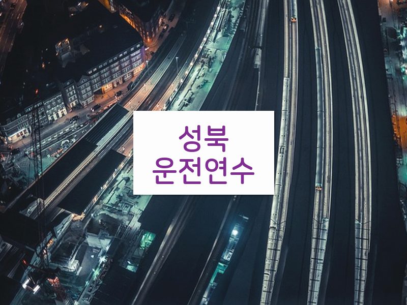 성북운전연수 후기